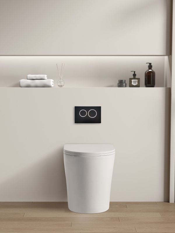 Avis Geberit inwall floor toilet suite (Sigma8/Alpha12 + KDK102RMW/KDK102RMB) - Image 3