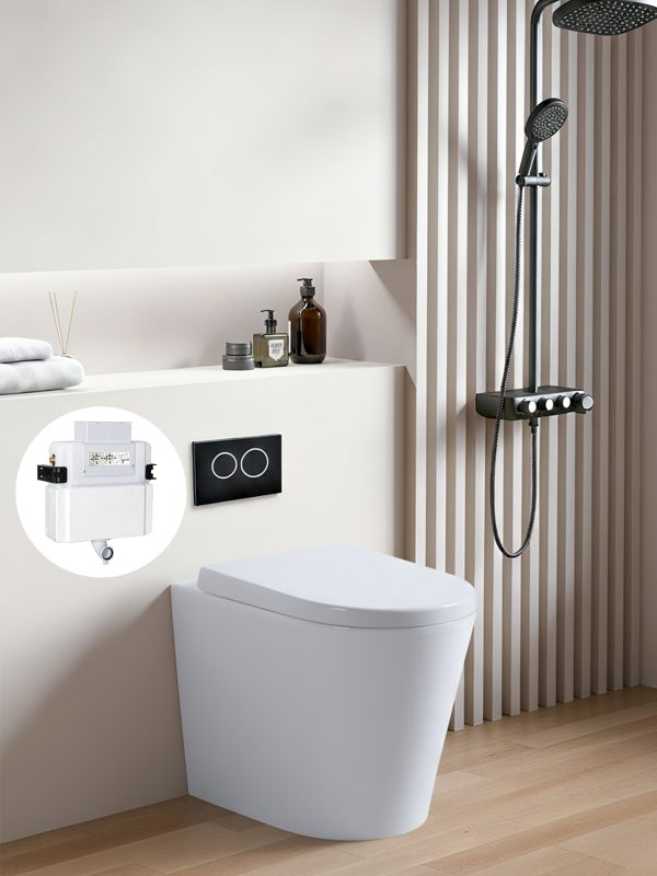 Avery R&T In Wall Floor Toilet Suite G30032/G3005+KDK102/KDK102-B - Image 2
