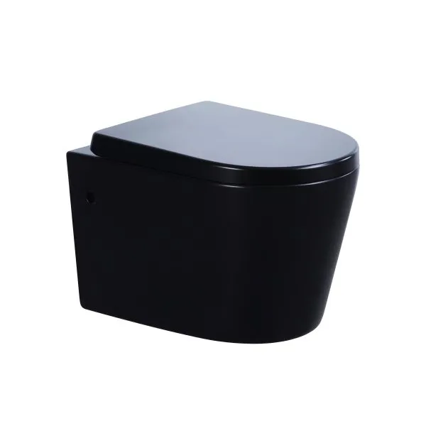 KDK302R/KDK302R-MB/KDK302R-MW Avis Rimless Wall Hung Pan - Image 8
